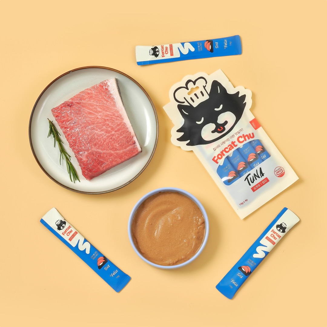 フォーキャットチュー ツナ
